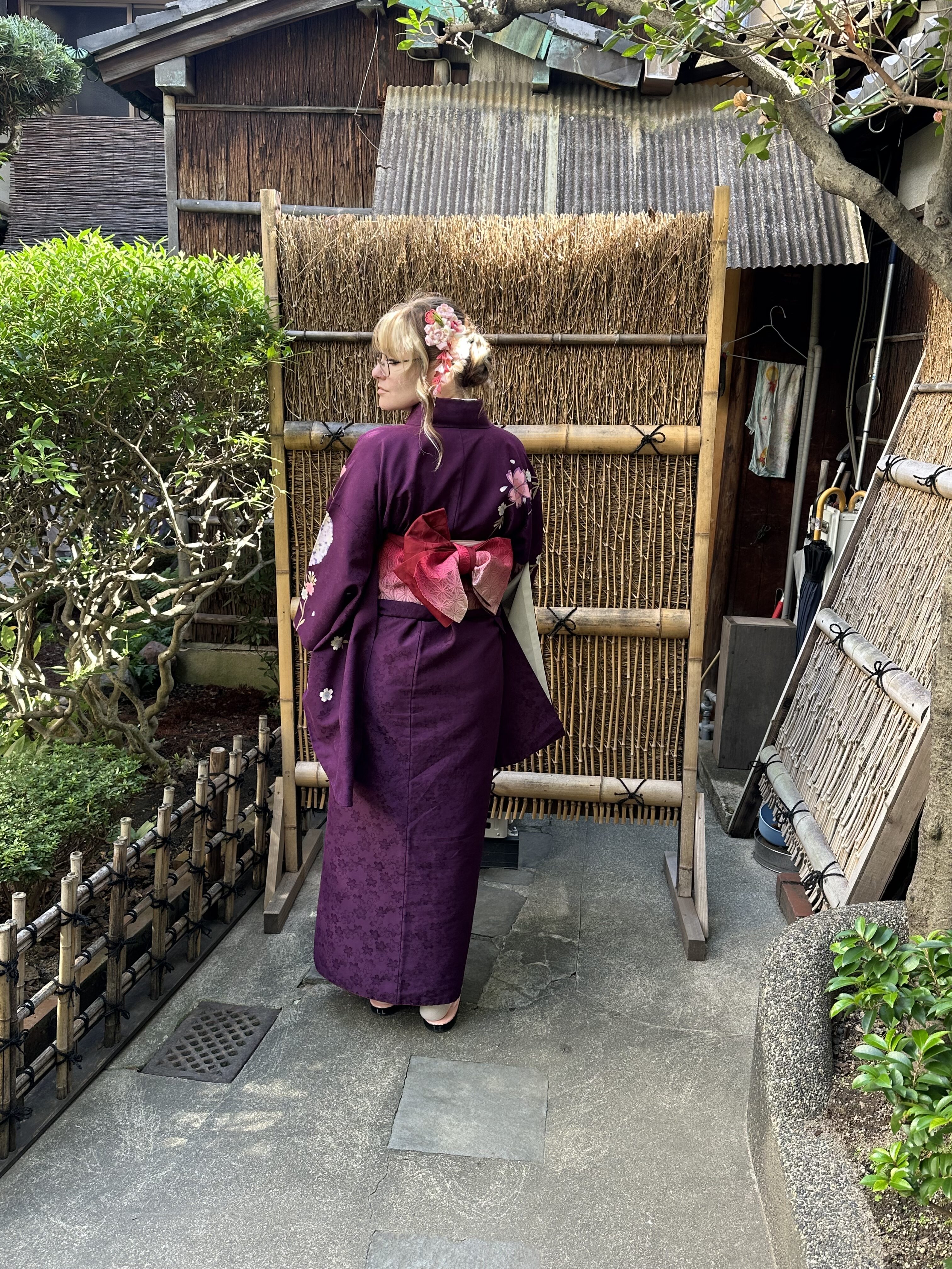 Japan on a Budget